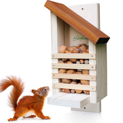 Eichhörnchen Futterhaus Miniaturbild