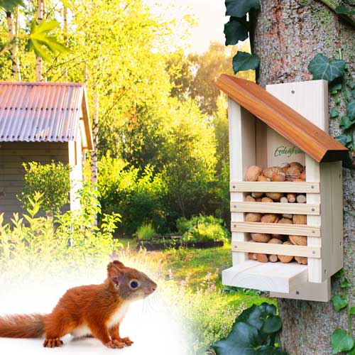 Eichhörnchen Futterhaus ohne Glas-HD