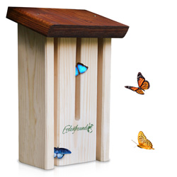 Schmetterlingshaus-Miniaturbild