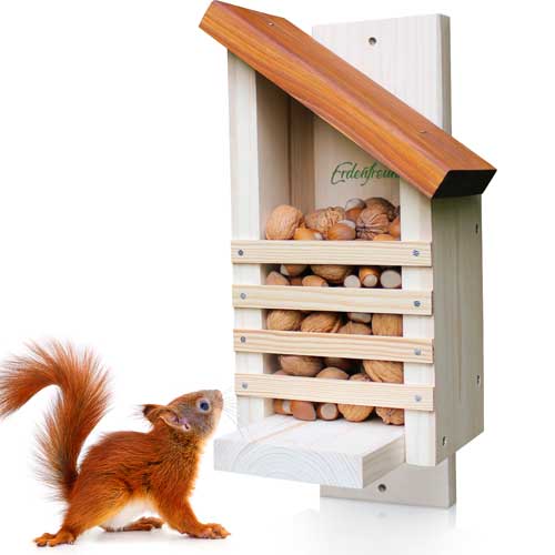 Eichhörnchen Futterhaus Miniaturbild 500 px